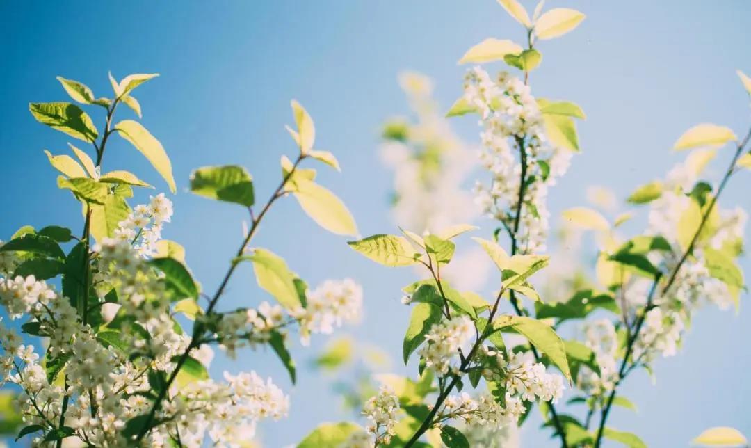 微信圖片_20200321135355.jpg 微信圖片_20200321135355.jpg