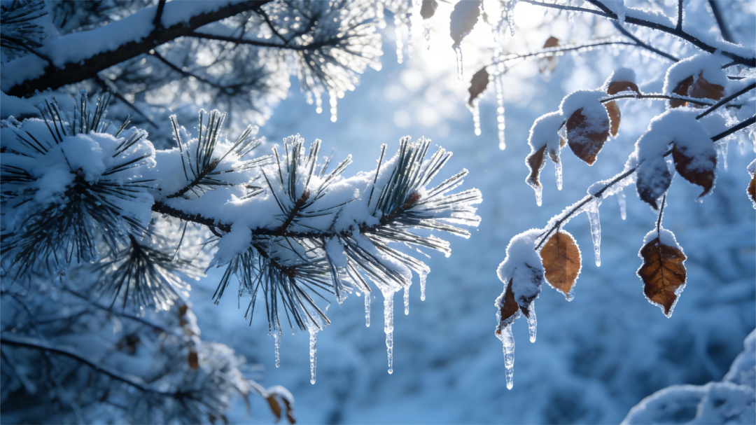 大雪至，年味漸濃，南北特食品香暖寒冬